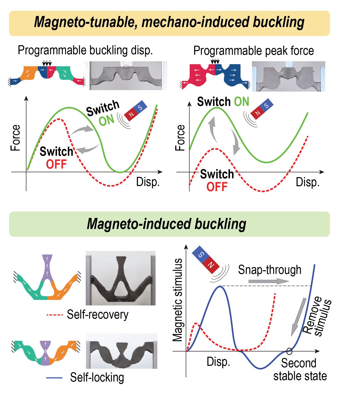 Thumbnail for Tuning buckling behaviors in magnetically active structures.
